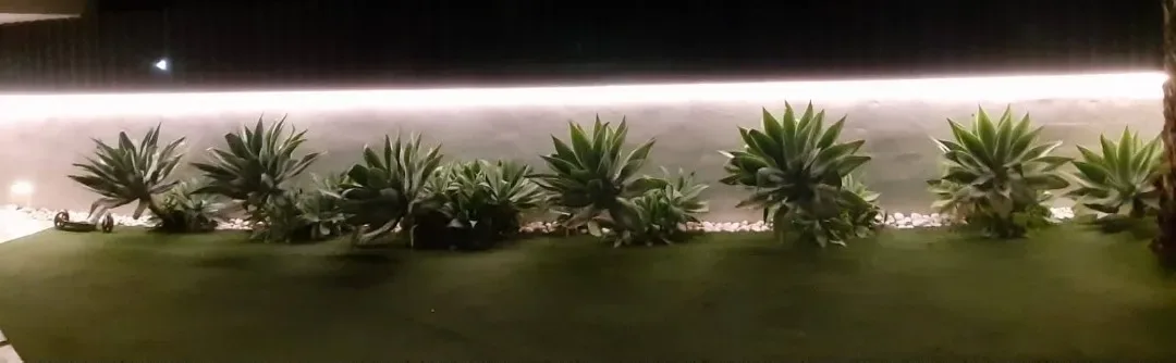 Diseño iluminación jardines